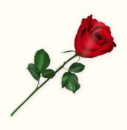 Red Rose Vehicle Decal